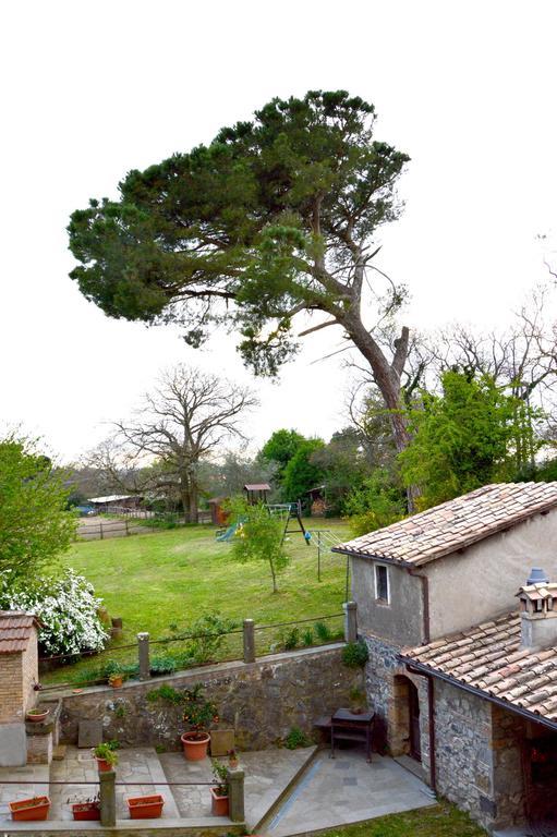 Agriturismo Tenuta Buon Respiro Orvieto Bagian luar foto