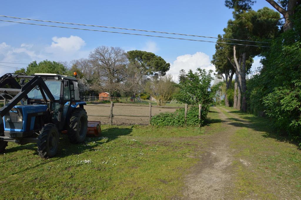 Agriturismo Tenuta Buon Respiro Orvieto Bagian luar foto